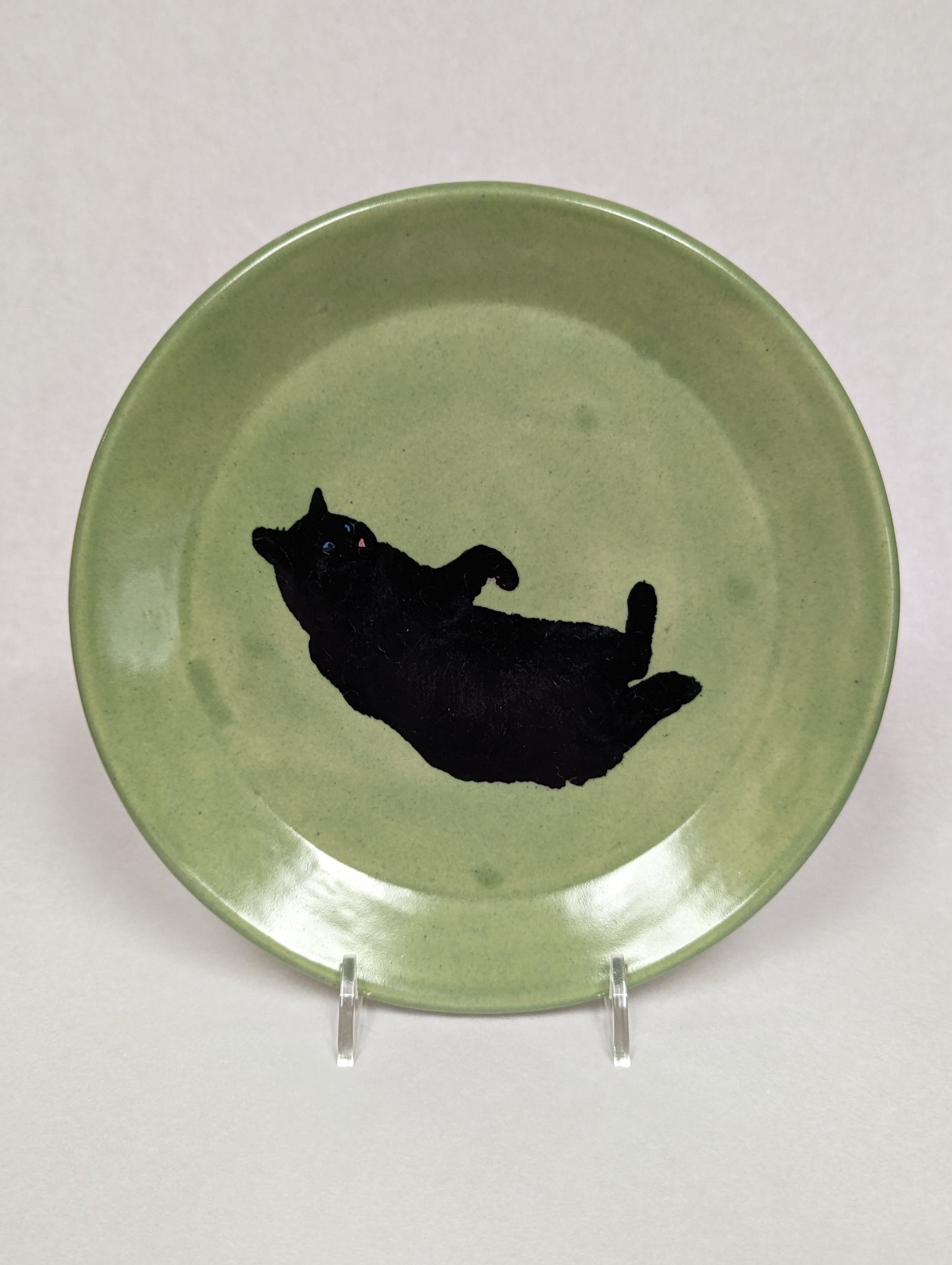 Green Cat Plate by Kevin Stafford