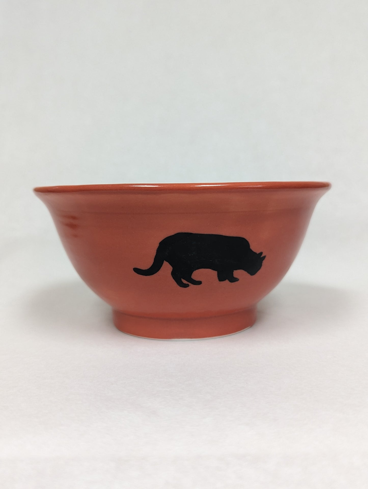 Orange Cat Bowl by Kevin Stafford